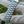 Omega Speedmaster Professional Moonwatch (3590.50) | 42mm Steel | Pre-Owned