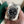 Rolex Datejust 41 - Black Stick Dial (Ref 126334) - Biel Watches
