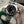 Rolex Explorer II 42mm (Ref 216570)